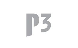 P3