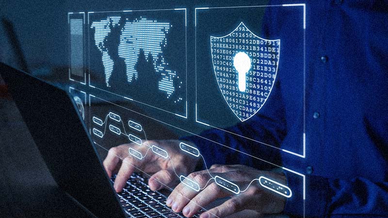 Global Leader in Vulnerability Reporting